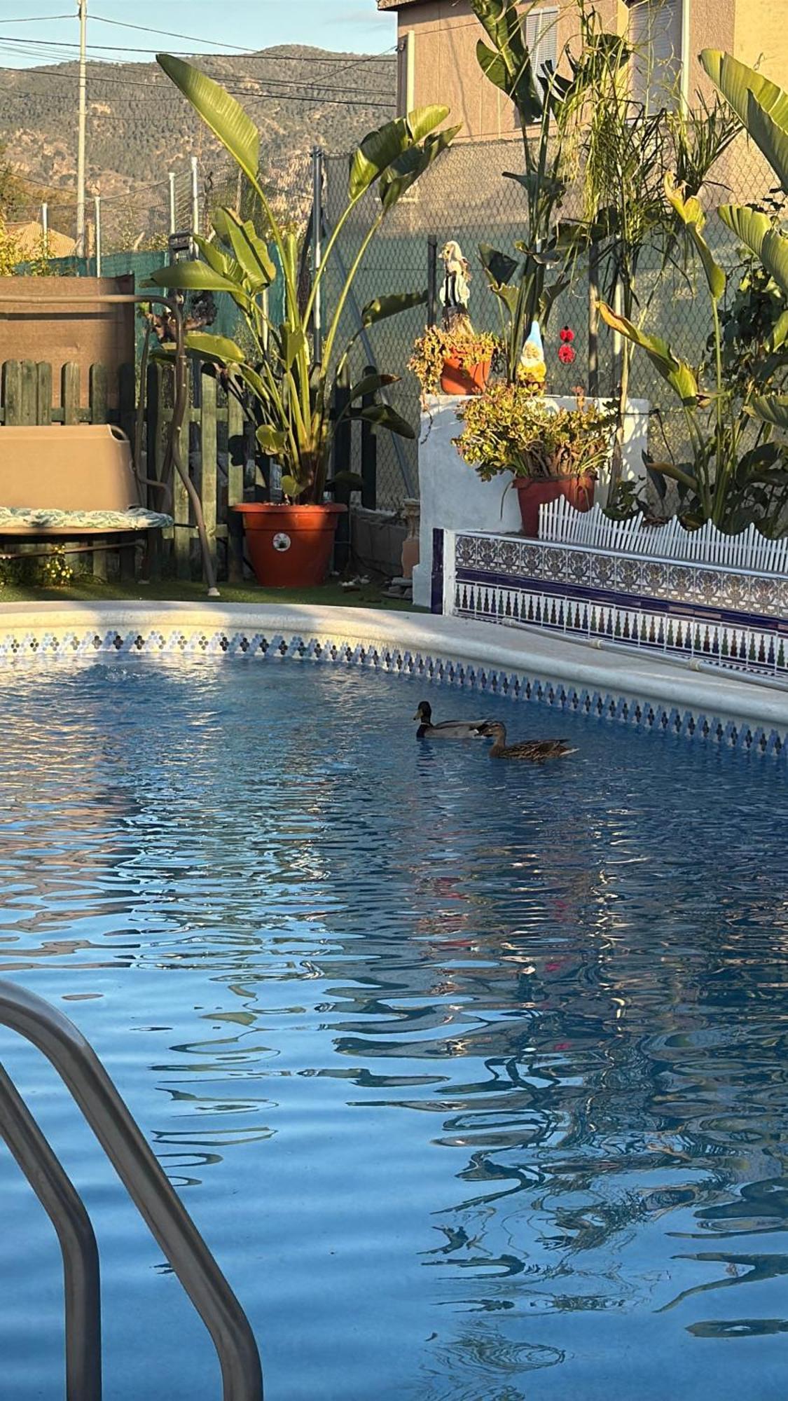 Casa Rural A 4Km De Murcia Con Piscina Y Spa Caliente Экстерьер фото
